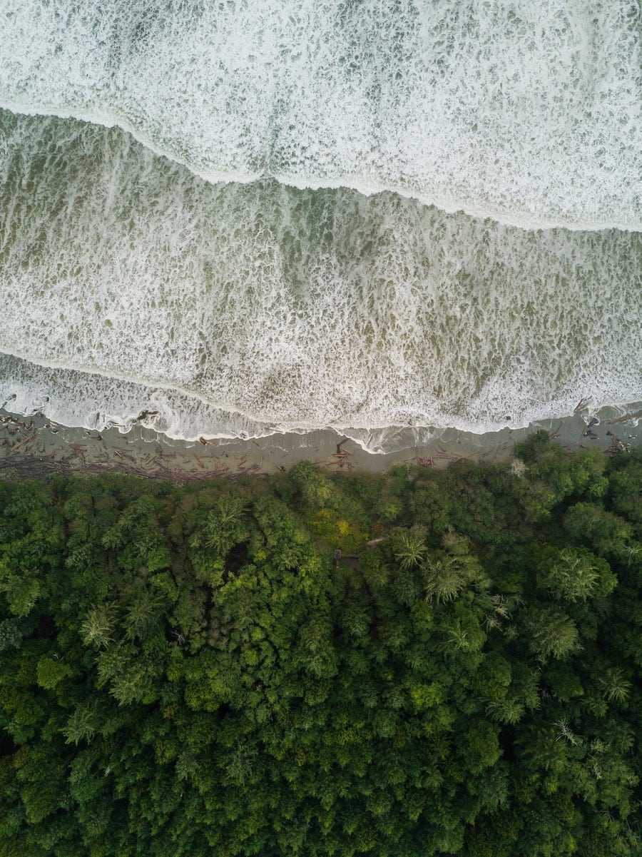 The ocean near tofino